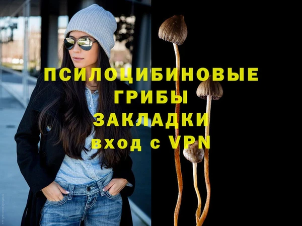синтетический гашиш Арсеньев