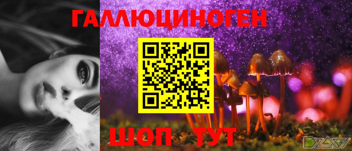 Новый Уренгой  Галлюциногенные грибы Magic Shrooms  Псилоцибиновые грибы MAGIC MUSHROOMS  Вход с VPN 